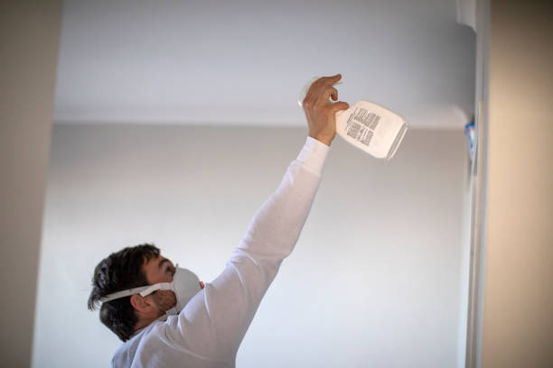 Best Professional Mold Removal  in North Little Rock, AR
