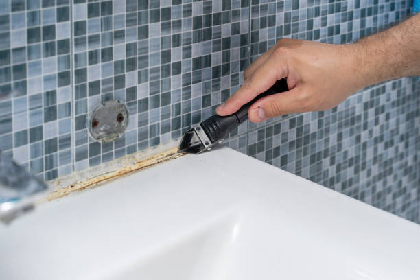 Mold Testing and Removal in North Little Rock, AR