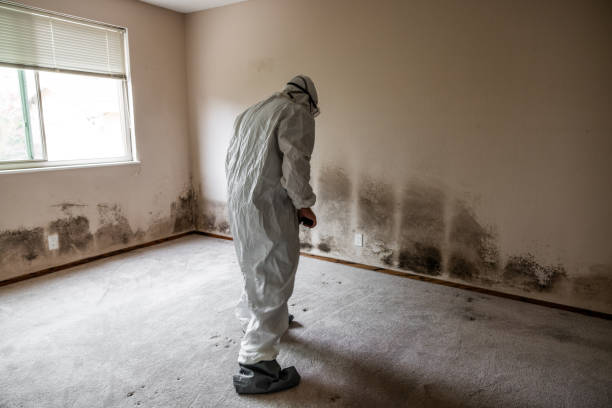 Best Crawl Space Mold Removal  in North Little Rock, AR