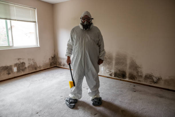Water Damage Restoration in North Little Rock, AR
